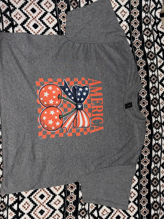 Light grey America t-Shirt